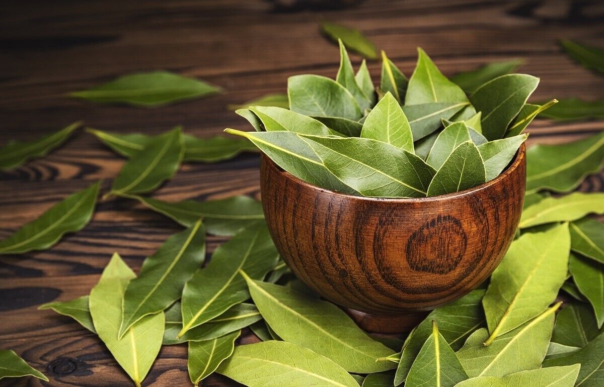 ادویه برگ بو چیست؟ مواد، ترکیبات و طرز تهیه ادویه برگ بو + خواص 9 ادویه برگ بو چیست
