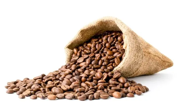 انواع قهوه عربیکا و روبوستا + تفاوت هرکدام + خواص