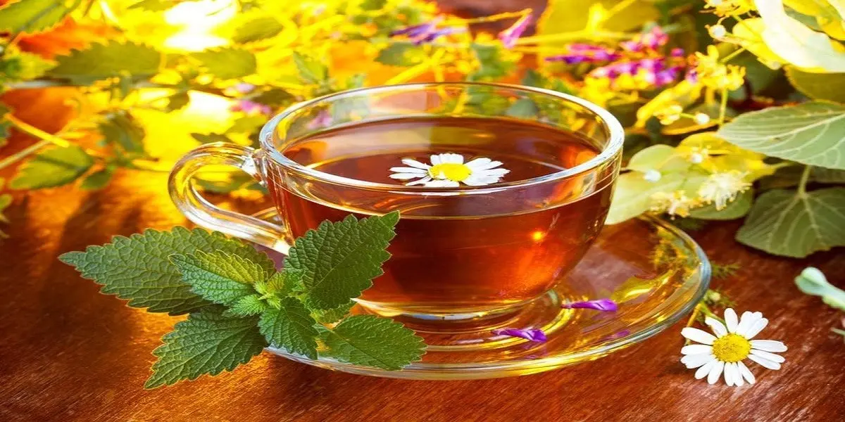 دمنوش گیاهی برای ارامش اعصاب چی بخوریم؟