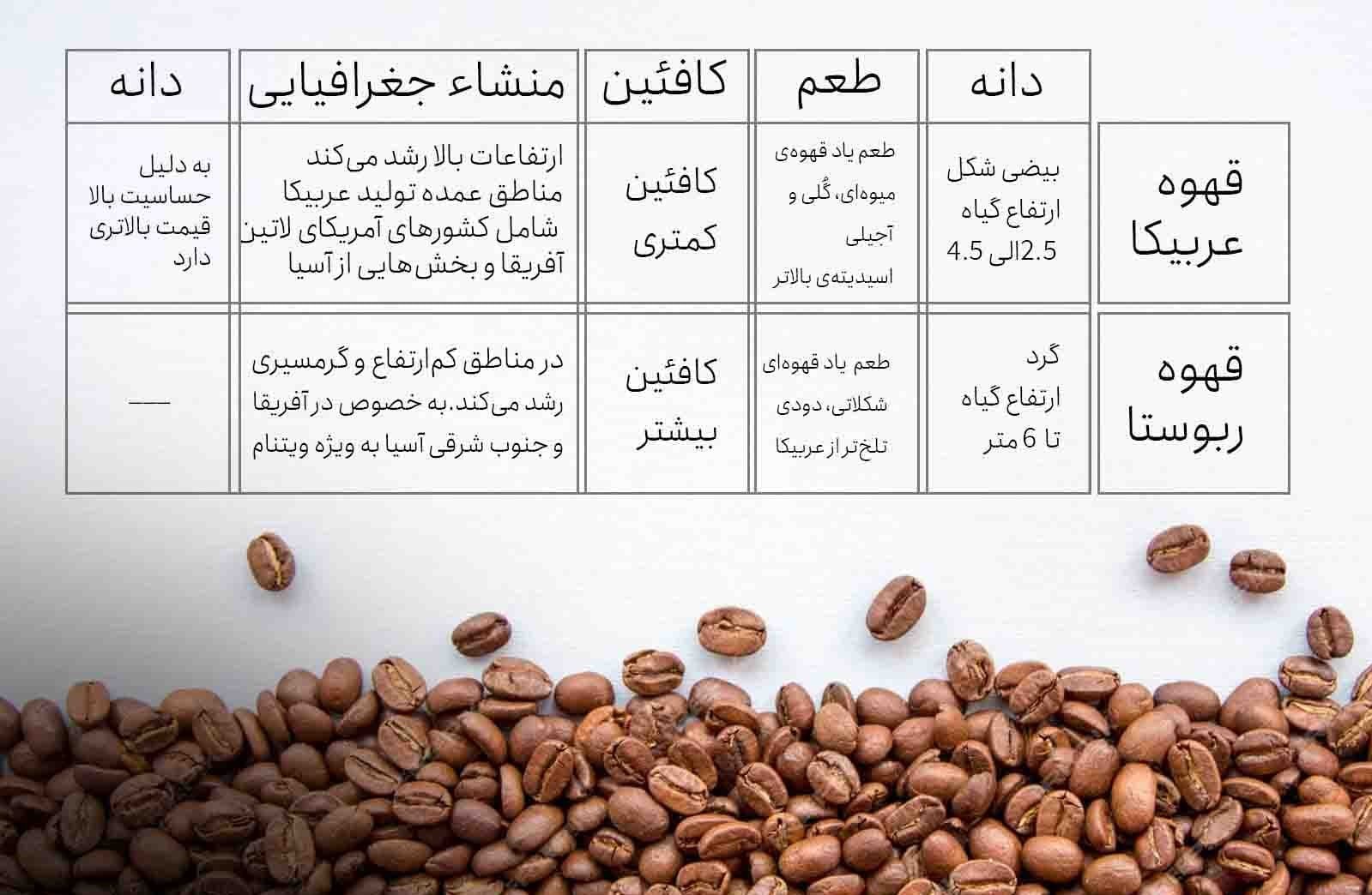 مقایسه کامل قهوه عربیکا و روبوستا: تفاوت ها خواص و طعم های متفاوت 10 مقایسه قهوه عربیکا و روبوستا: کدام را باید انتخاب کنیم؟
