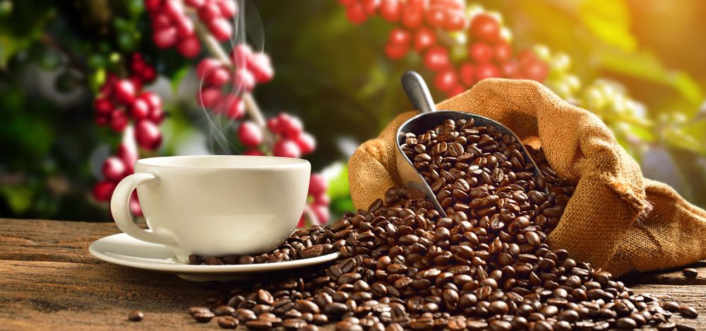 قهوه چطوری درست میشه